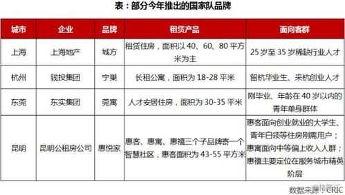 2018年租賃住房市場半年報深度研究 軟件開發(fā)領域的機遇與挑戰(zhàn)
